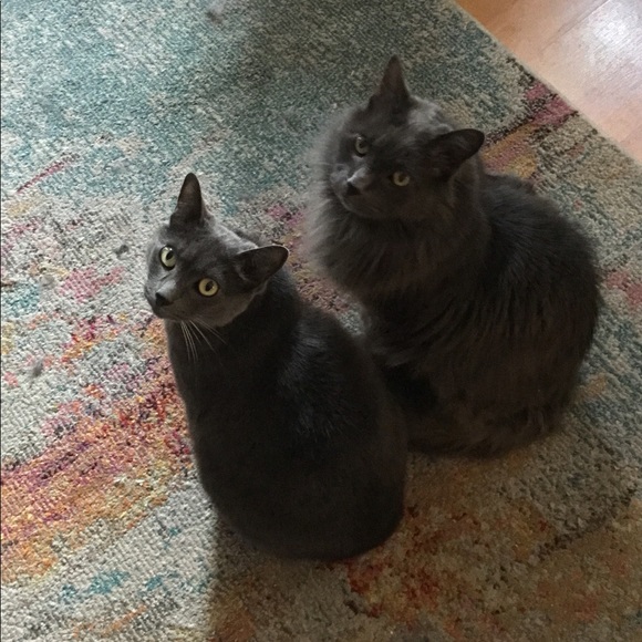 POSH AMBASSADOR 2 & suggested user.. 😊 - Picture 8 of 17